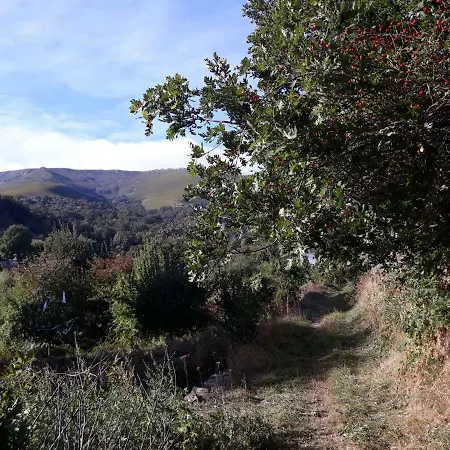 Casa Aldea De Montana Sanabria Σπίτι διακοπών San Ciprián