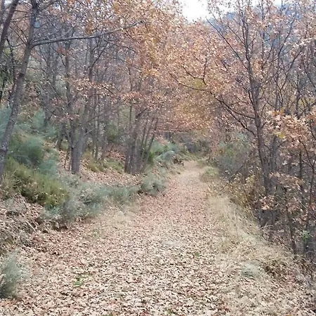 Casa Aldea De Montana Sanabria Σπίτι διακοπών *